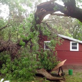 Land and Reality Image